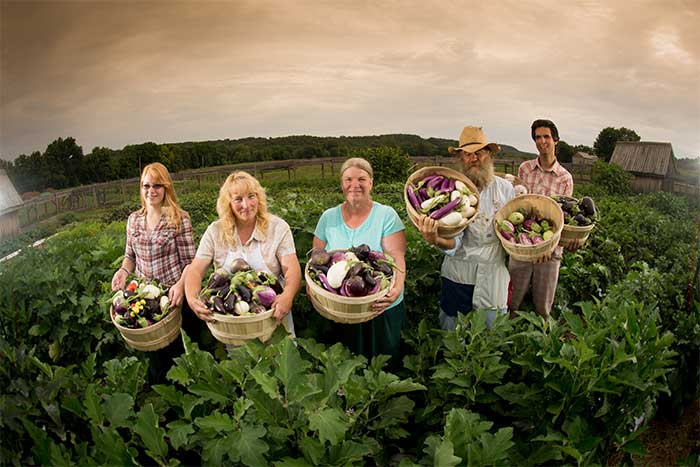 BakerCreek