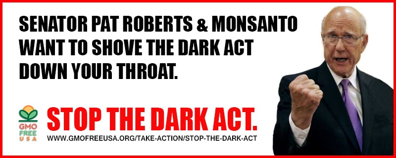 DARK_Act_02